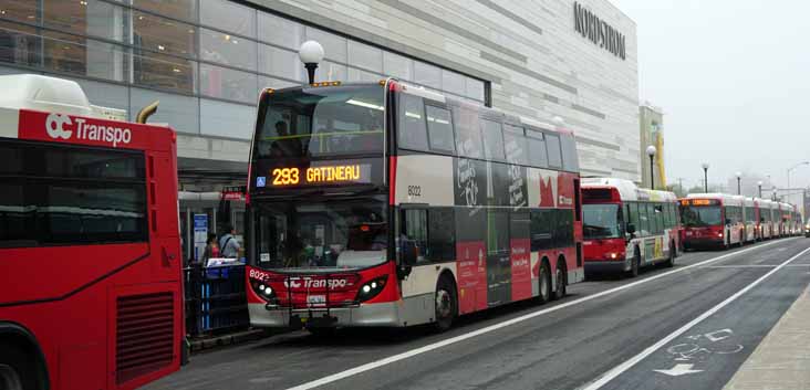 OC Transpo Alexander Dennis Enviro500 8022